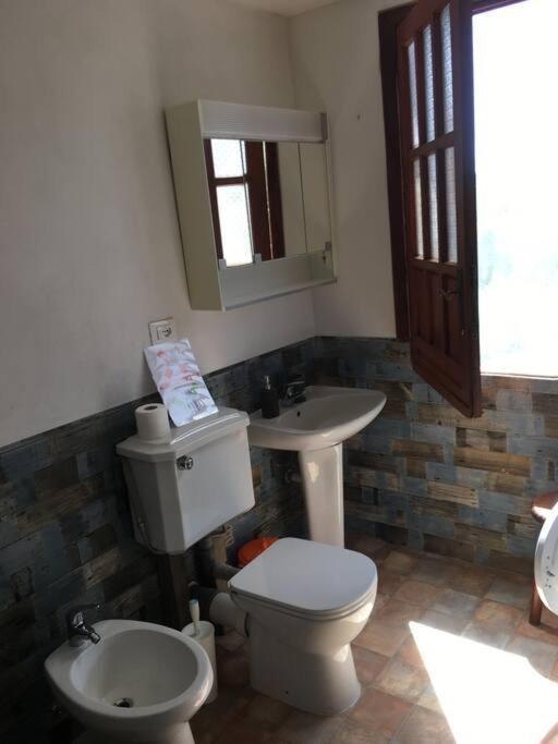 Sette - Villino Lorenzo Villa Viani Ngoại thất bức ảnh